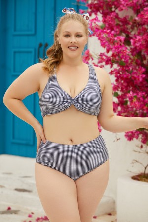 Light Grey Heart Neck Tie Front High Waist Bikini Set